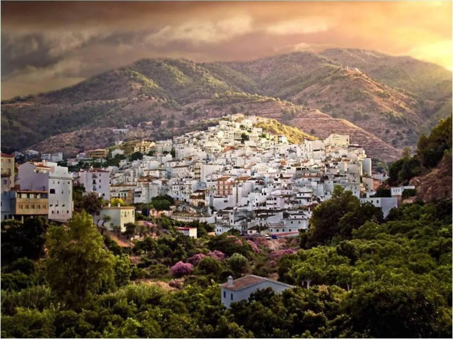 Heart Of The Pueblo, Tolox, Sierra De Las Nieves contacts